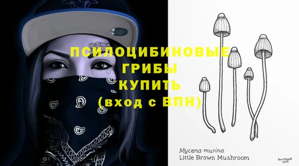 твердый Касимов