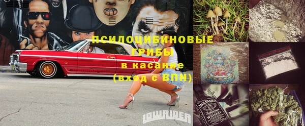 твердый Касимов