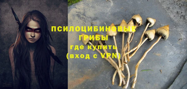 твердый Касимов