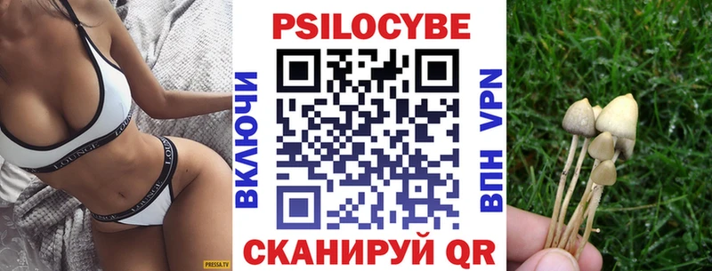 Купить где  Нерчинск  Галлюциногенные грибы прущие грибы 